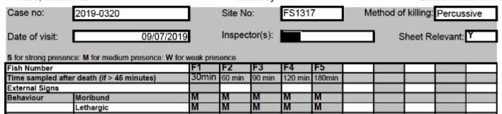 FHI July 2019 Rum #7