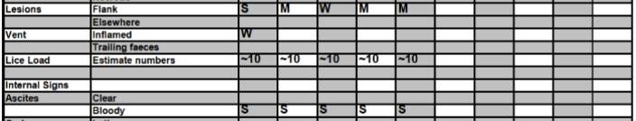 FHI July 2019 Rum #8