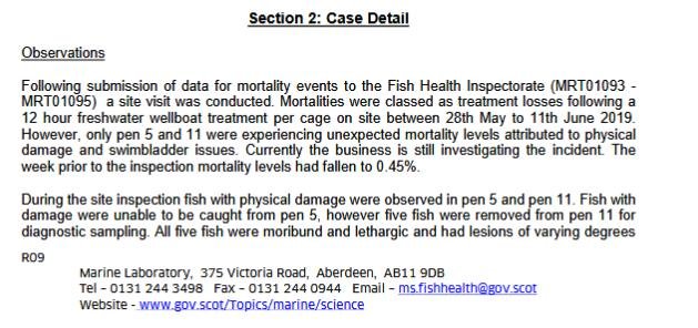 FHI July 2019 Rum #13