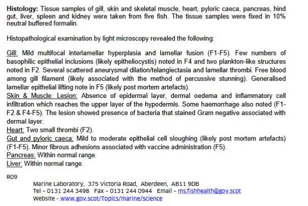 FHI July 2019 Rum #15