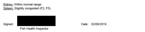 FHI July 2019 Rum #16