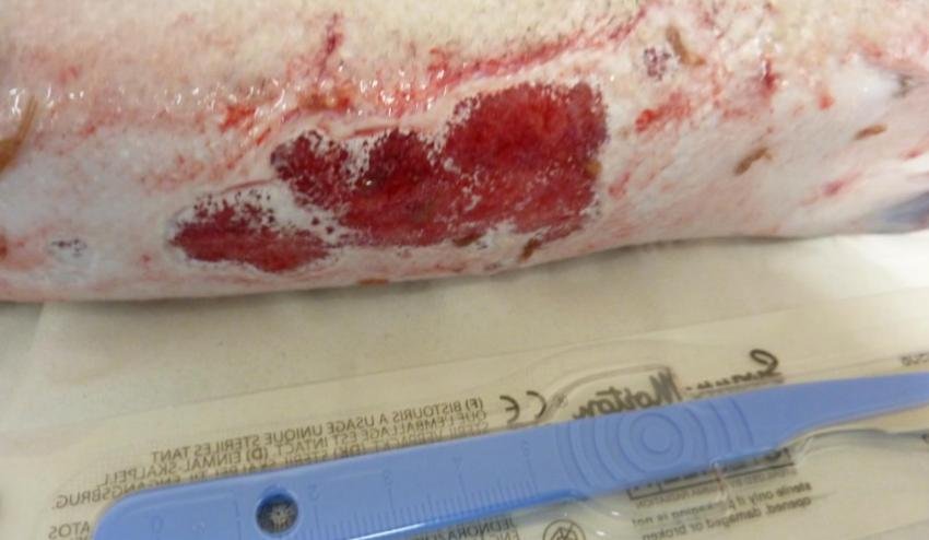 FHI July 2019 Rum Photo #9