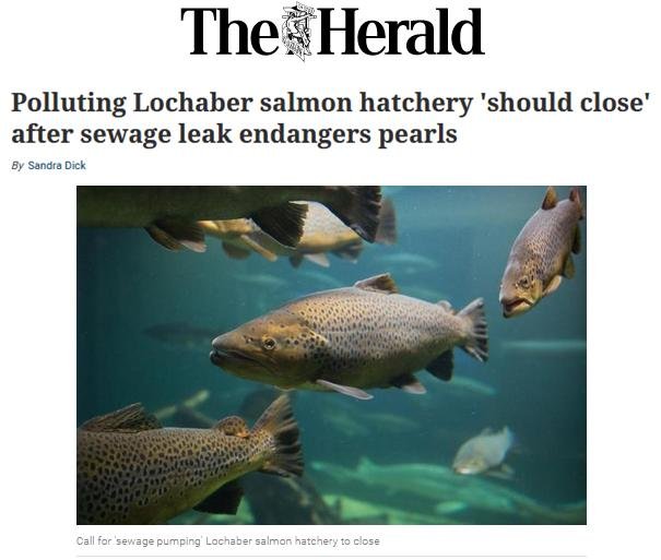 Herald 17 May 2019 #1