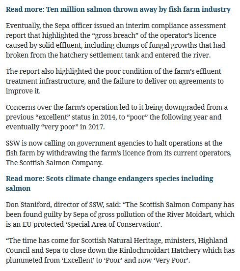 Herald 17 May 2019 #3