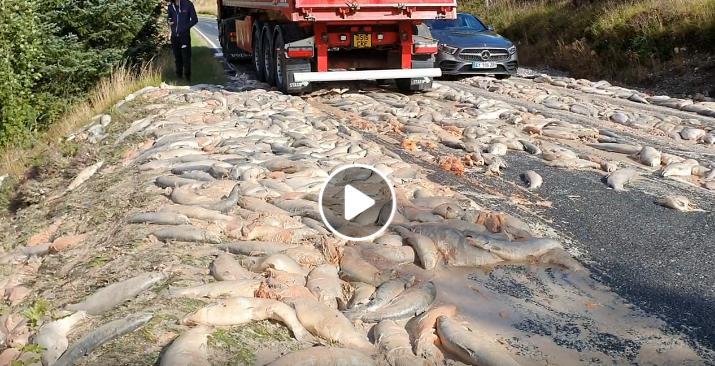 William Haughton Facebook video #4 William Haughton Facebook video #4