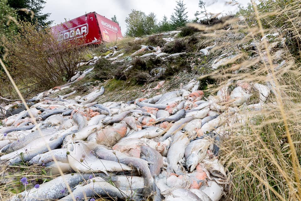 William Haughton Corin Smith post photo #3