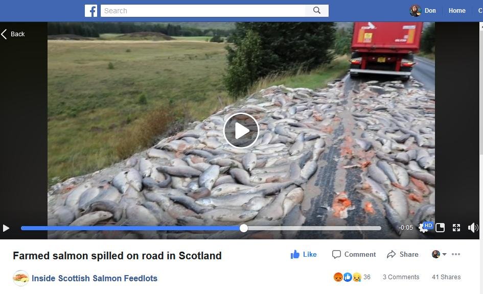 William Haughton Facebook video Corin video post #1 William Haughton Facebook video Corin video post #1