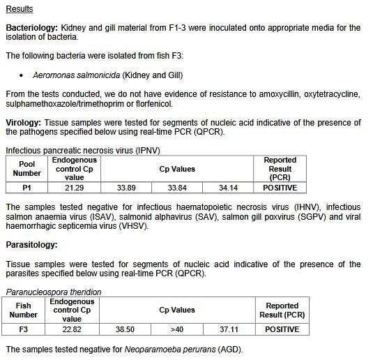FHI March 2019 North Papa #8