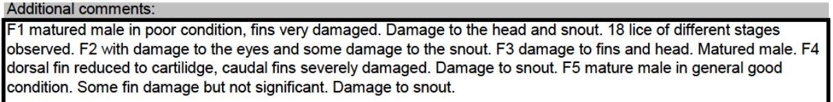 FHI Case Information Strondoir Bay Feb 2019 #5 Damaged