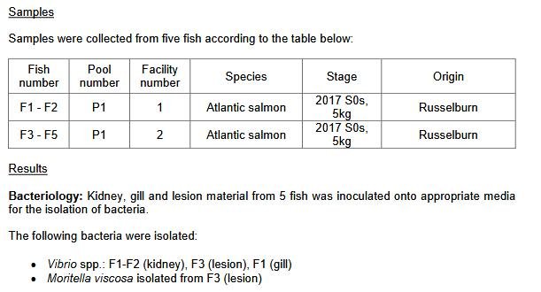 FHI Case Information Strondoir Bay Feb 2019 #9
