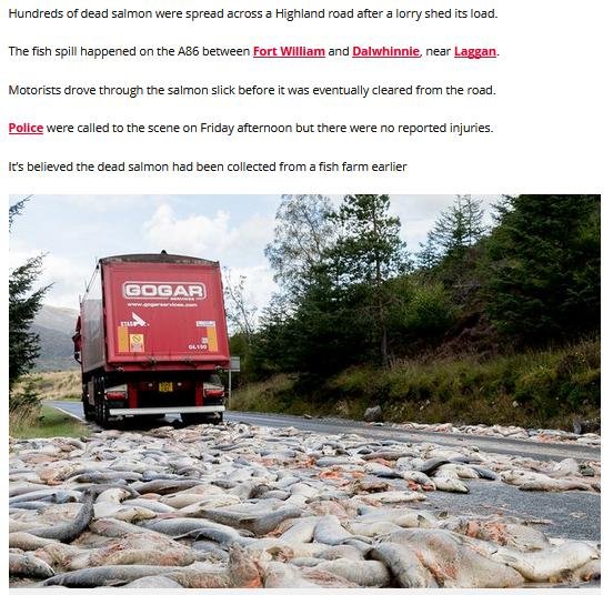 Daily Record on salmon spill 17 September 2019 #2