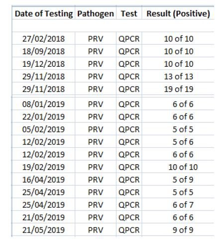 PR Virus Laden Scottish Salmon 5 June 2019 #3