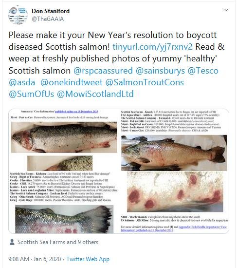 PR The Case Against Scottish Salmon 6 Jan 2020 Tweet PR The Case Against Scottish Salmon 6 Jan 2020 Tweet