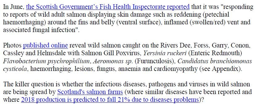 PR Sick Scottish Salmon 30 Sept 2019 #3