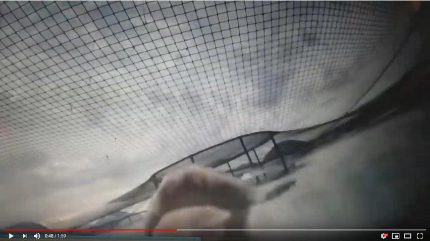 2019 Fish farm survey STV News 30 Sept #4 Shieldaig