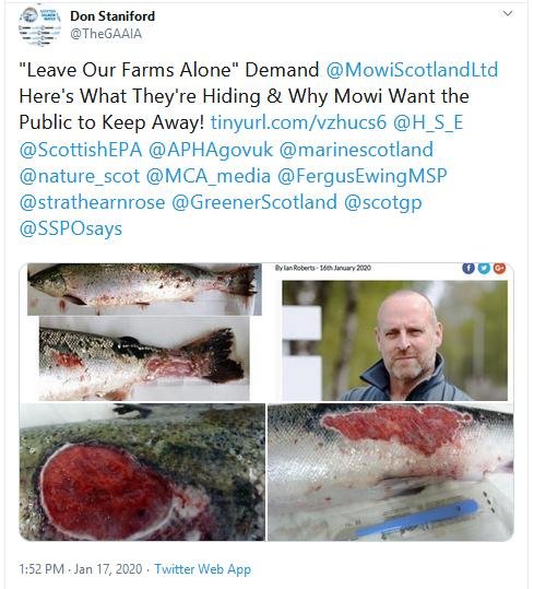 Blog Jan 17 2020 HSE #7 Tweet for blog