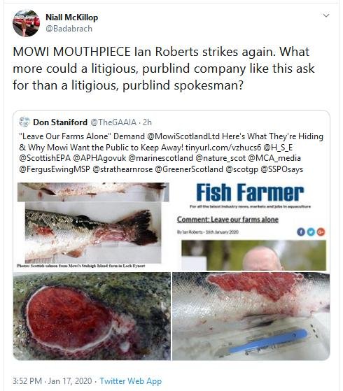 Blog Jan 17 2020 HSE #9 Tweet from Niall purblind