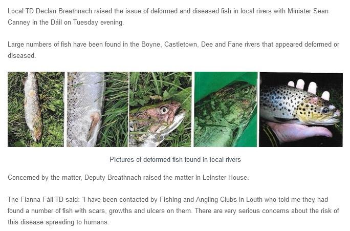 Ireland TD 1 October 2019 #2