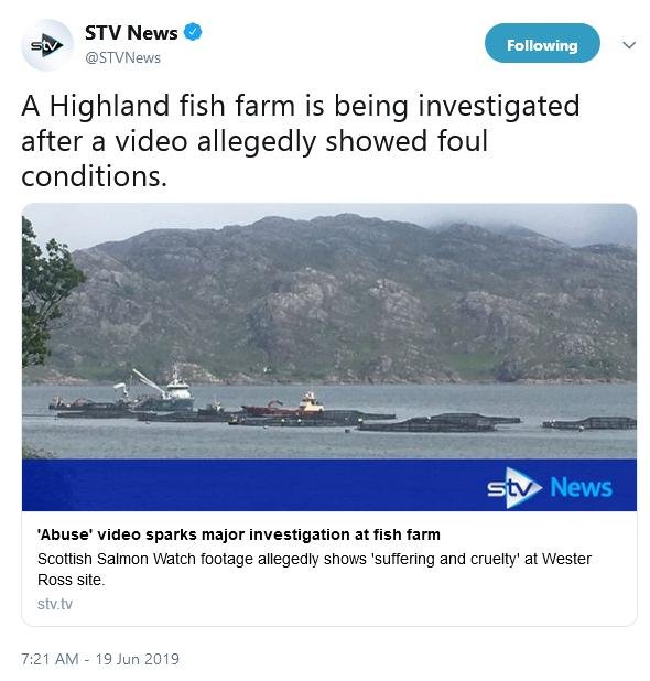 STV News 19 June 2019 Tweet