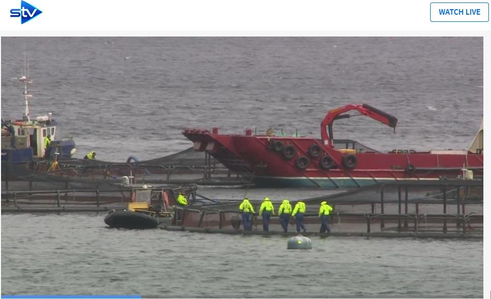 STV News 19 June 2019 TV version #10 inspectors STV News 19 June 2019 TV version #10 inspectors