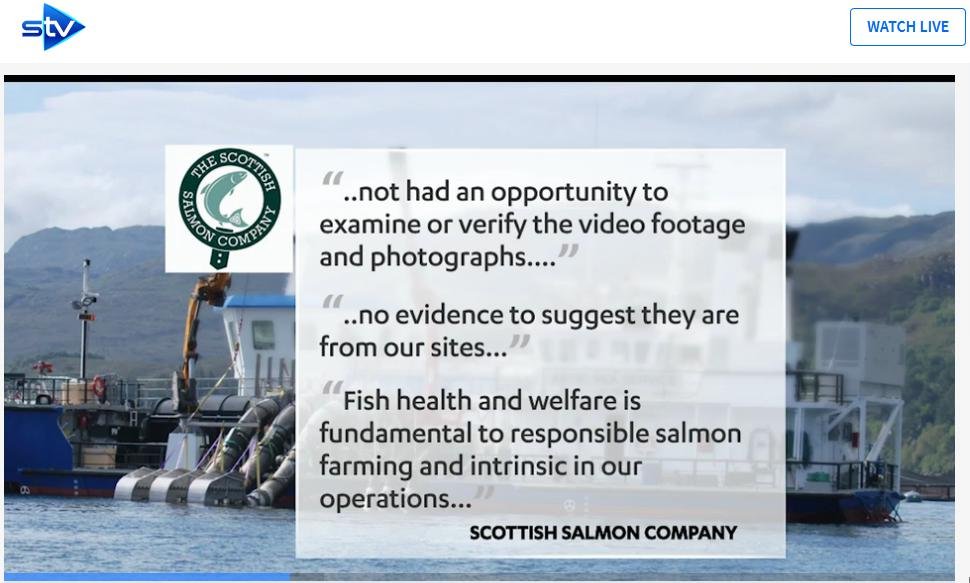 STV News 19 June 2019 TV version #11 SSC statement