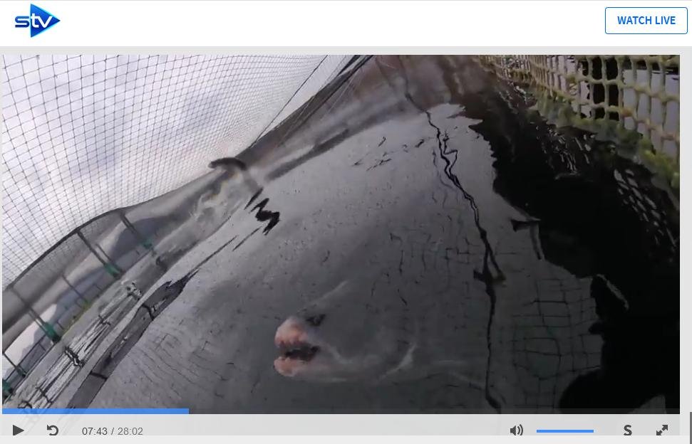 STV News 19 June 2019 TV version #7