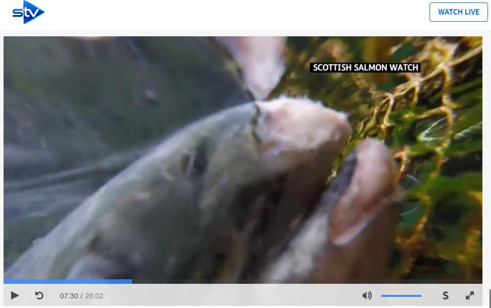 STV News 19 June 2019 TV version #3