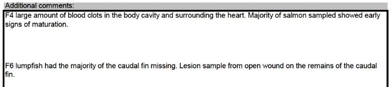 Ardintoul FHI 17 Oct 2019 #7