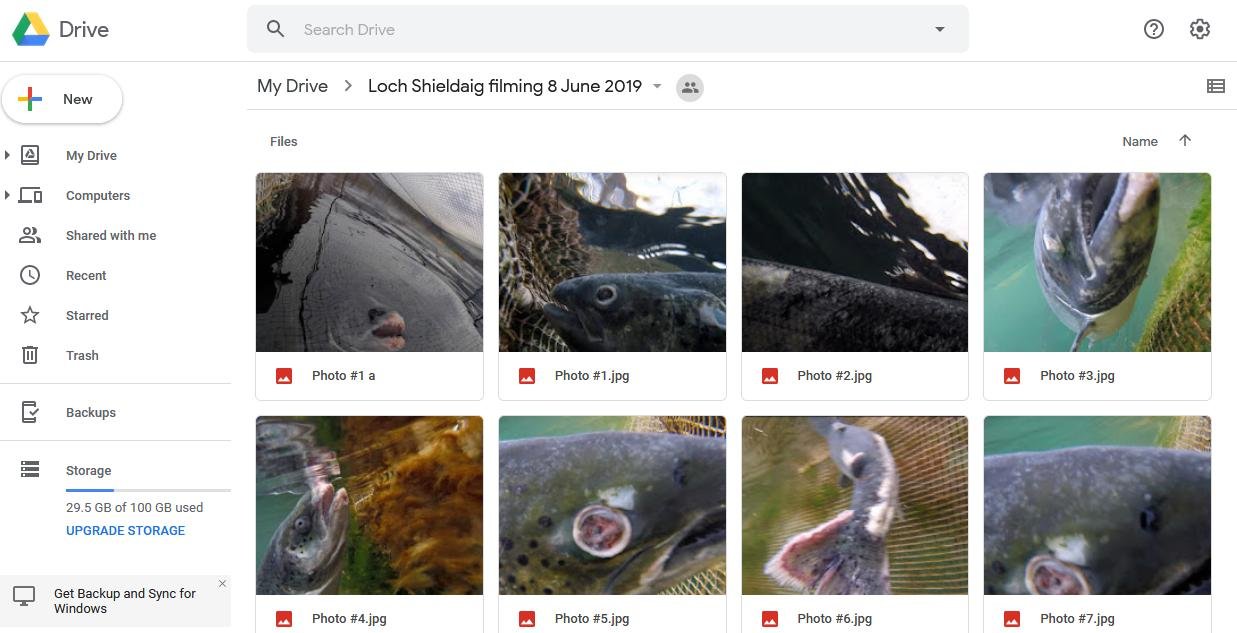 Google Drive photos Google Drive photos
