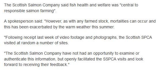 BBC on Vacasay BBC on Vacasay