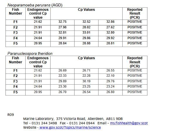 Ardintoul FHI 17 Oct 2019 #14