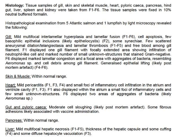Ardintoul FHI 17 Oct 2019 #15