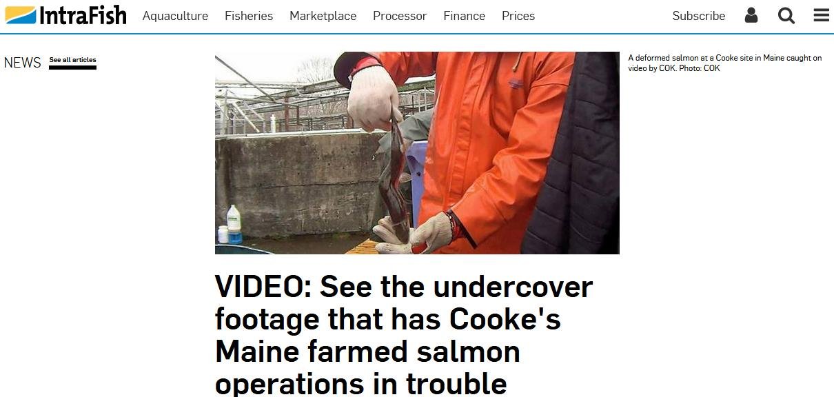 COK Intrafish #1 COK Intrafish #1