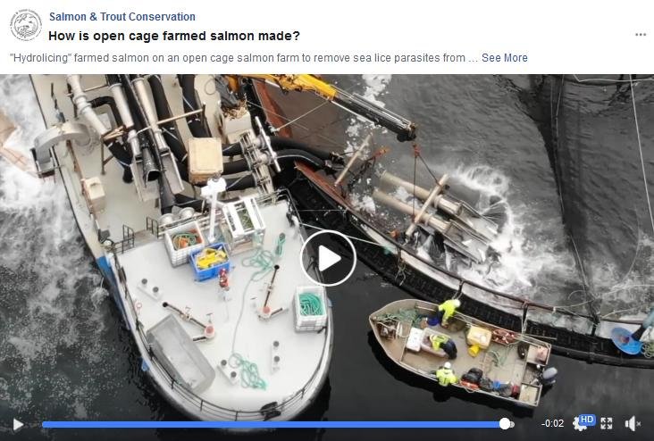 Thermolicer blog #9 Hydrolicer video #2