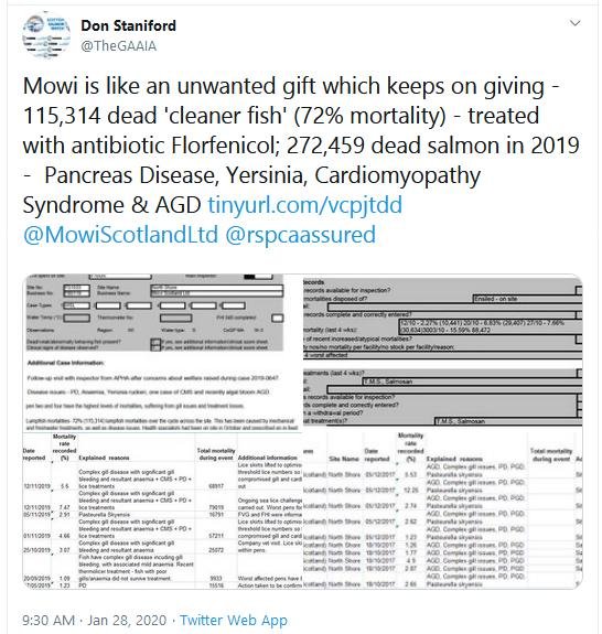 North Shore Nov 2019 FHI Tweet 28 Jan 2020 North Shore Nov 2019 FHI Tweet 28 Jan 2020