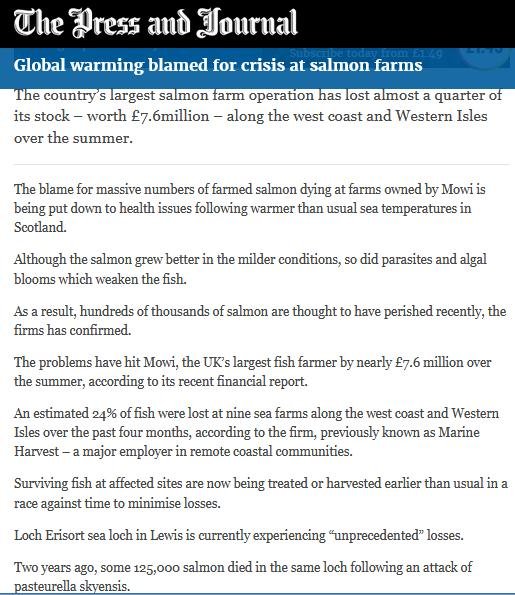 Tabhaigh P&J Nov 2019 #1