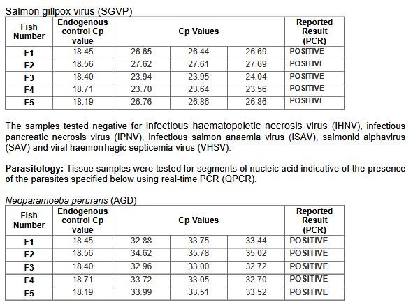 Tabhaigh FHI 13 Nov 2019 #11