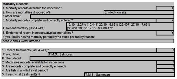 North Shore Nov 2019 FHI #2 North Shore Nov 2019 FHI #2