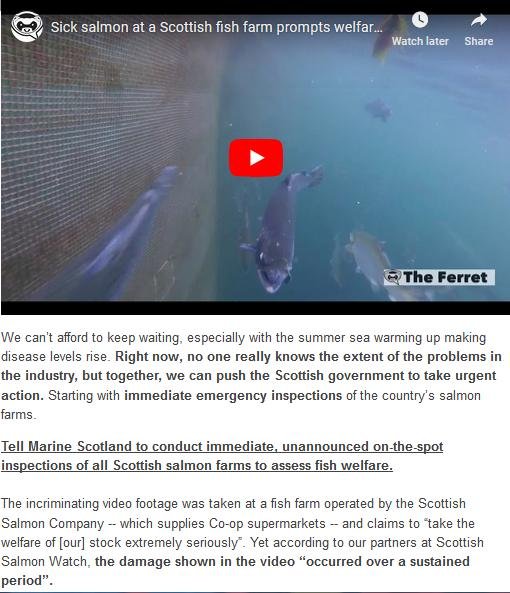 SumOfUs Petition June 2019 #2