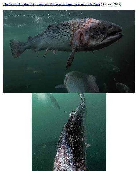 Photo Dossier of FHI Case Information Feb 2020 #14 SSC Vacasay