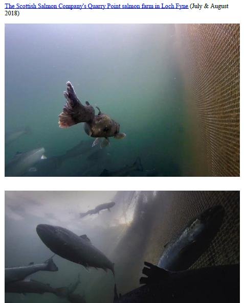 Photo Dossier of FHI Case Information Feb 2020 #15 SSC Quarry point