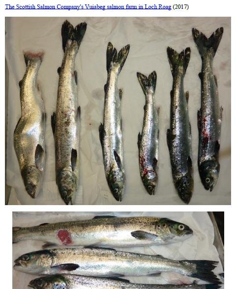 Photo Dossier of FHI Case Information Feb 2020 #23 SSC Vuiabeg Photo Dossier of FHI Case Information Feb 2020 #23 SSC Vuiabeg