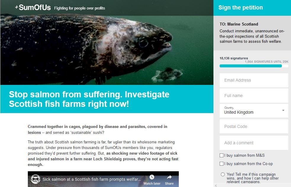 SumOfUs Petition June 2019 18K