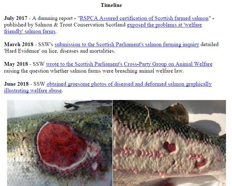 Welfare of Salmon Farming Summary Feb 2020 #3 Welfare of Salmon Farming Summary Feb 2020 #3