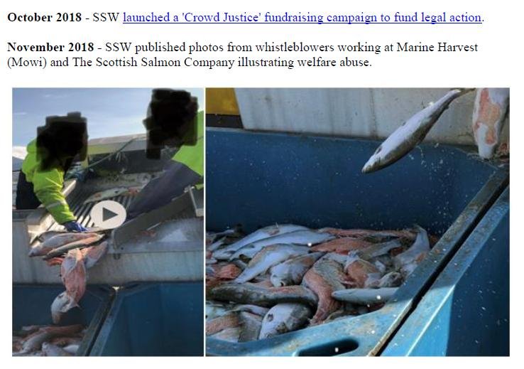 Welfare of Salmon Farming Summary Feb 2020 #6 Welfare of Salmon Farming Summary Feb 2020 #6