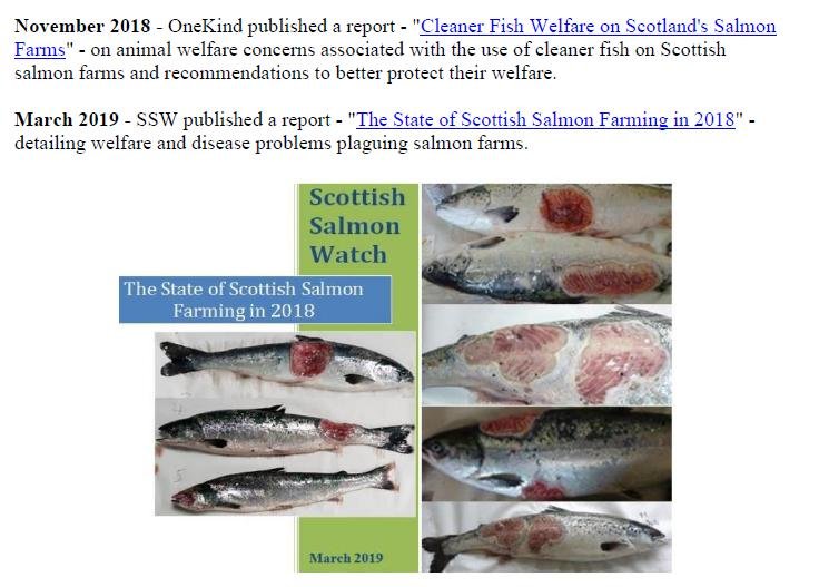 Welfare of Salmon Farming Summary Feb 2020 #8 Welfare of Salmon Farming Summary Feb 2020 #8