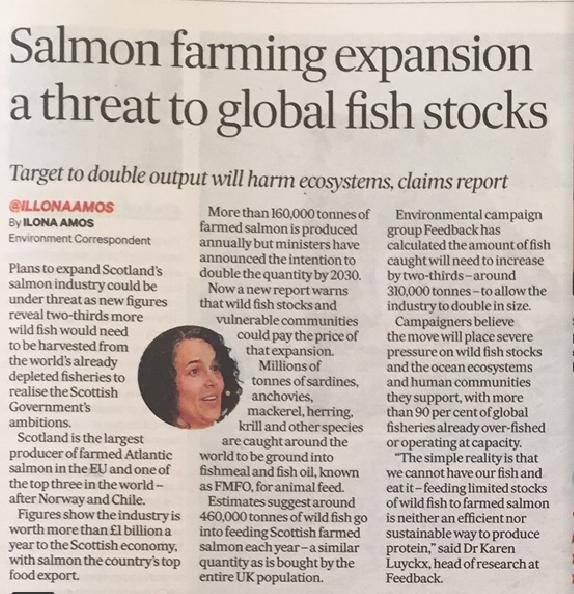 SoS 30 June 2019 #1 on Feedback report