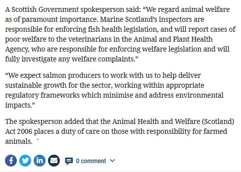 Herald 14 Oct 2019 #7