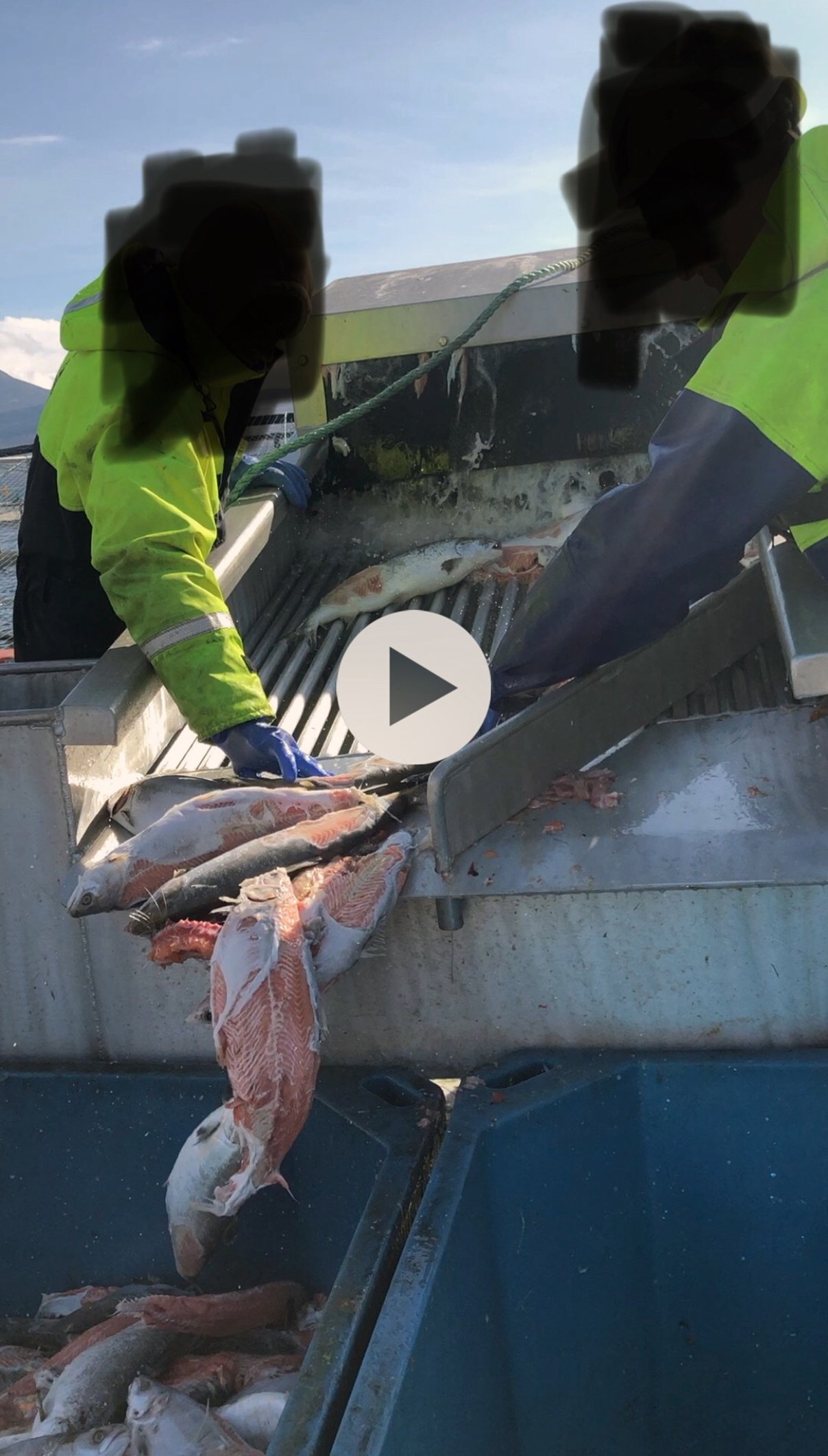 Whistleblower Carradale #2 video with faces blackened out