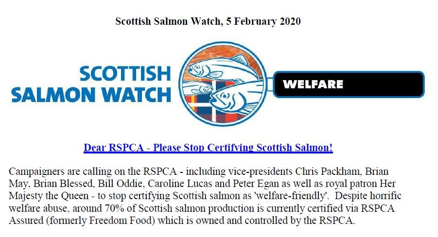 PR RSPCA Asked to Stop Certification 5 Feb 2020 #1